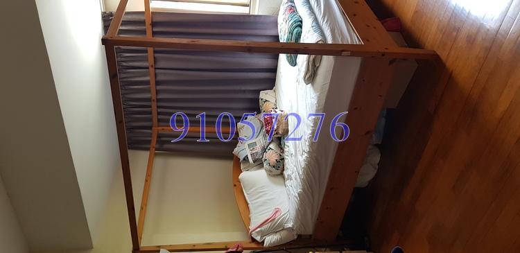 Lorong Siglap (D15), Semi-Detached #174285452